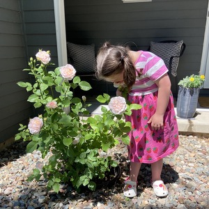 Team Page: Evelyn’s Army